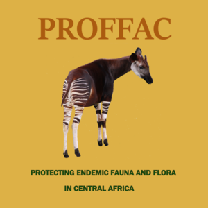 Logo de PROFFAC